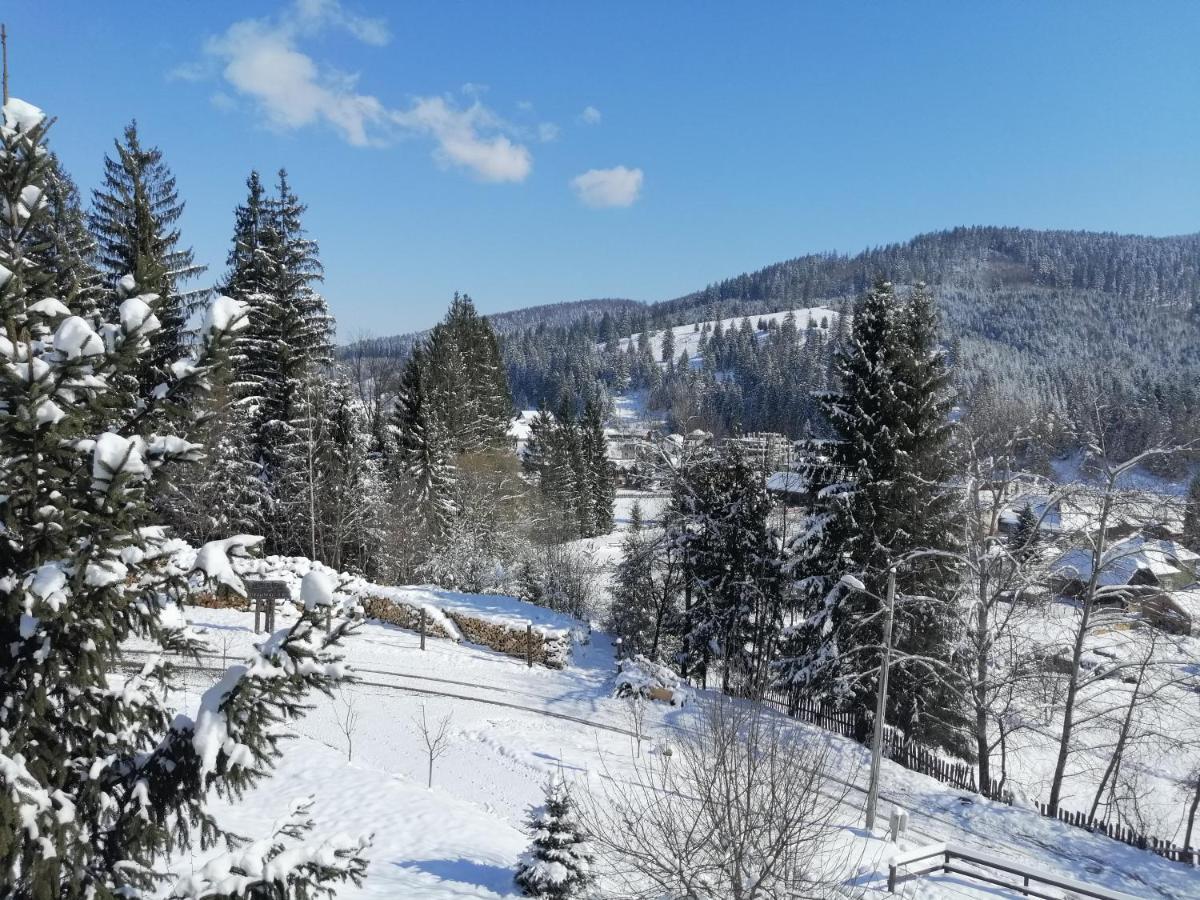Casa Verde Voroneț Extérieur photo